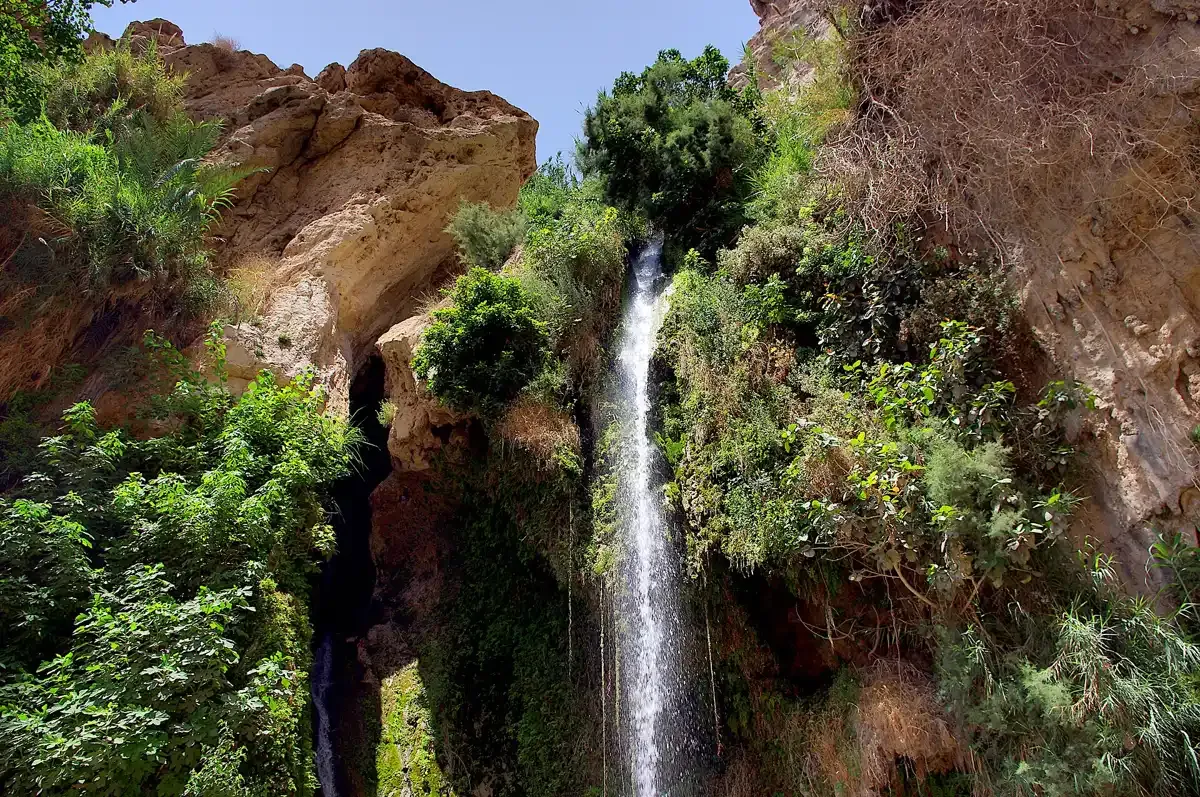 David Waterfall in the Ein Gedi Nature Reserve on a Masada sunrise and Ein Gedi tour
